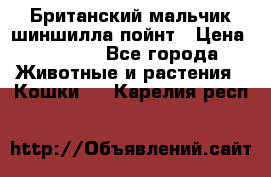 Британский мальчик шиншилла-пойнт › Цена ­ 5 000 - Все города Животные и растения » Кошки   . Карелия респ.